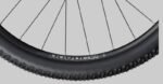 Radon Jealous AL 8.0 – Bild 10