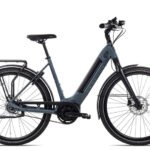 Gazelle Ultimate C8+ HMB Belt