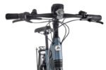 Gazelle Ultimate C8+ HMB Belt – Bild 4